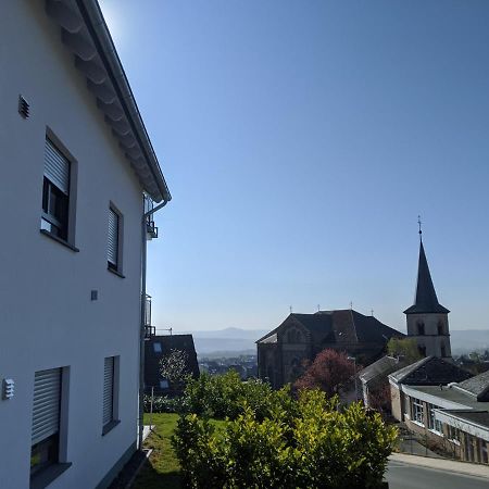 Ferienwohnungen Pellenzblick - Wohnen auf Zeit - Nickenich Exterior foto