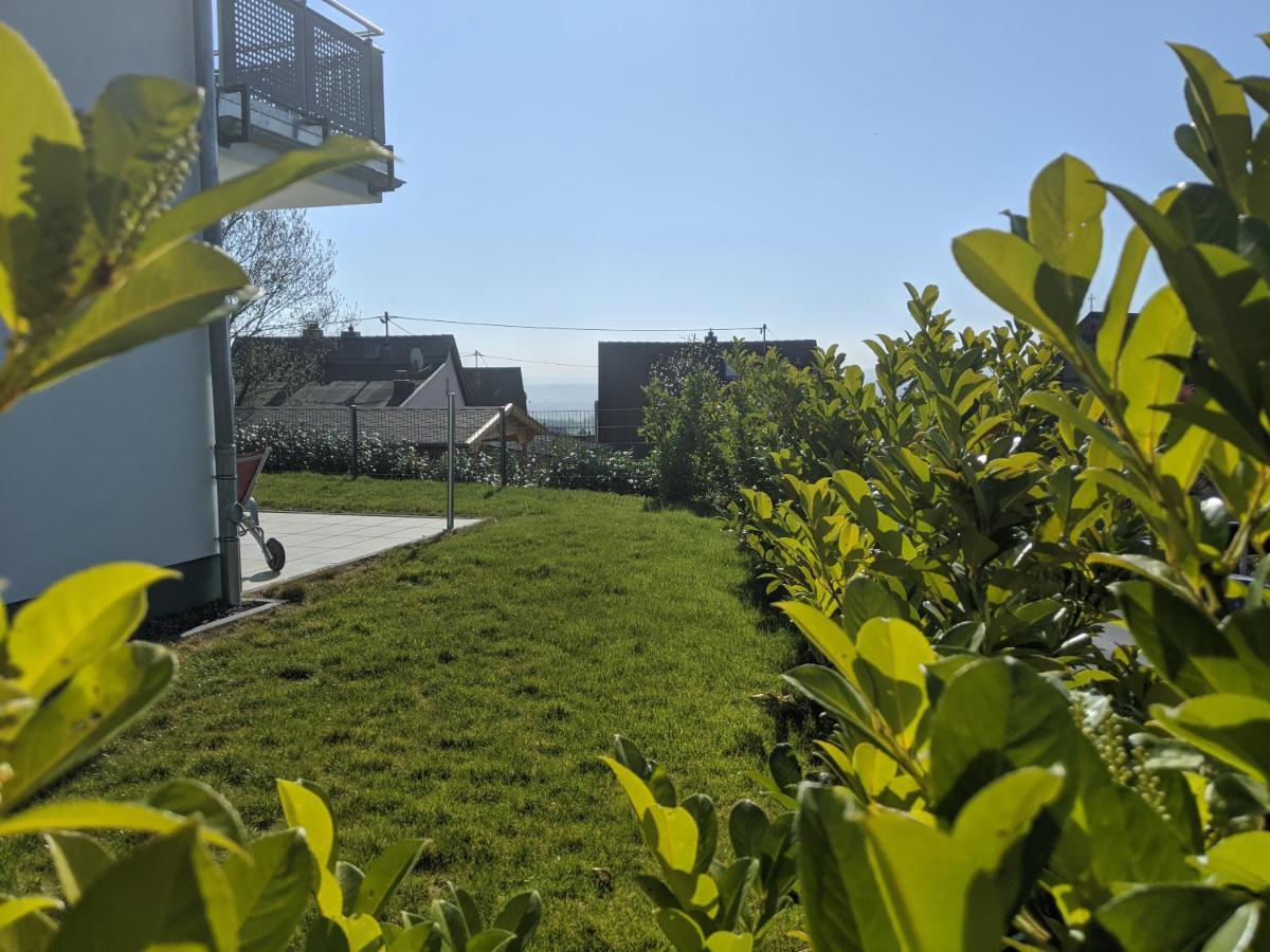 Ferienwohnungen Pellenzblick - Wohnen auf Zeit - Nickenich Exterior foto